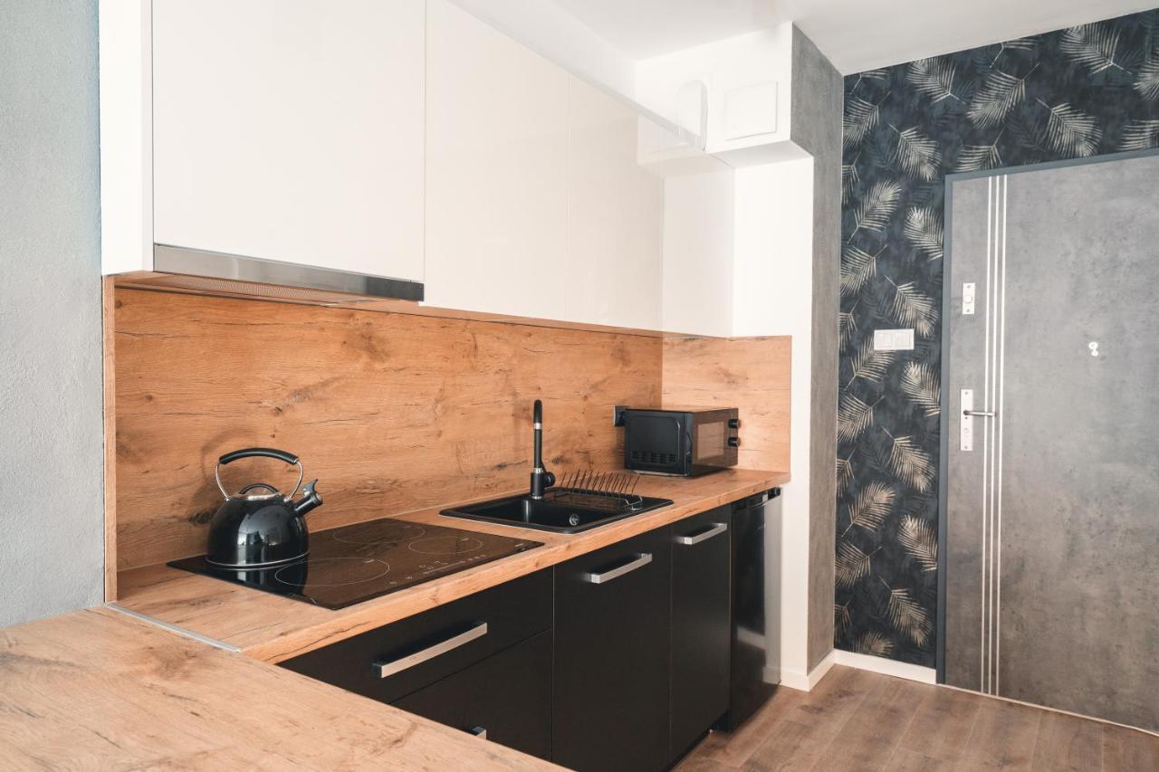 Apartament Nr 16 - Zrodlana 2 Lejlighed Świeradów-Zdrój Eksteriør billede